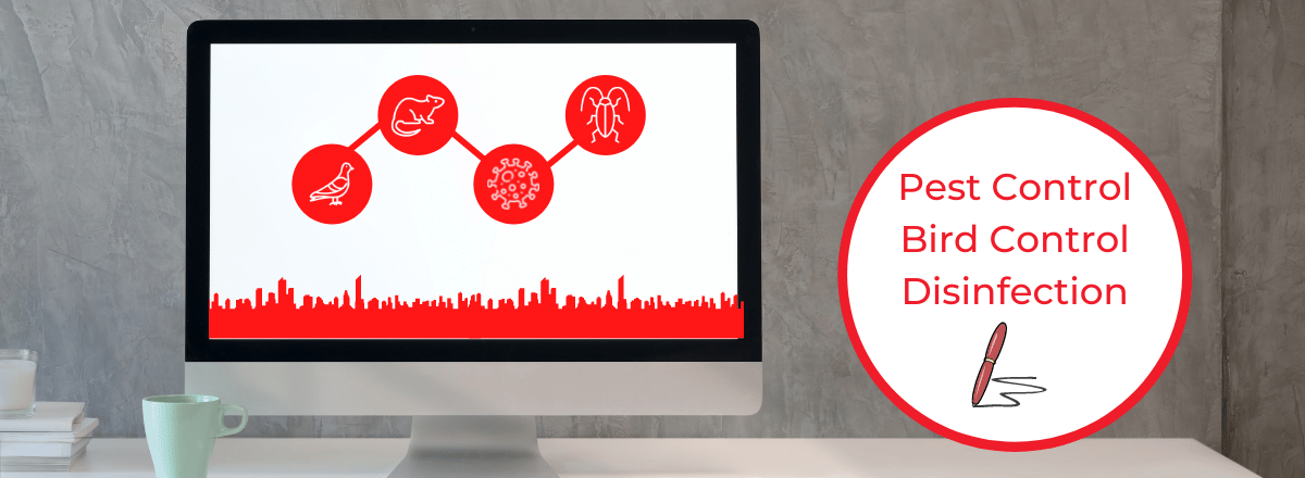 Banner Blog Rentokil Italia